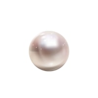 Perle